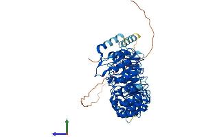 AlphaFold protein structure predicition of Human Recombinant LRRC31 Protein, UniprotID Q6UY01 (LRRC31 Protein (AA 1-552) (His tag))