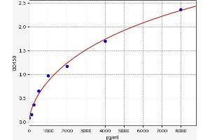 Typical standard curve (Claudin 7 ELISA 试剂盒)
