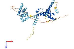 AlphaFold protein structure predicition of Mouse Recombinant Ccdc97 Protein, UniprotID Q9DBT3 (CCDC97 Protein (AA 1-340) (His tag))