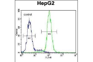 Flow cytometric analysis of HepG2 cells (right histogram) compared to a negative control cell (left histogram). (CST9 抗体  (C-Term))