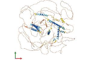 AlphaFold protein structure predicition of Mouse Recombinant Akna Protein, UniprotID Q80VW7