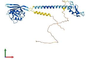 Protein Structure (PS) image for Ring Finger Protein 133 (RNF133) (AA 1-382) protein (His tag) (ABIN7556978)