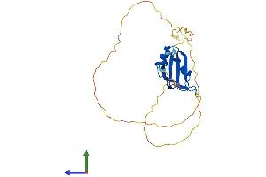 AlphaFold protein structure predicition of Mouse Recombinant Rbm38 Protein, UniprotID Q62176