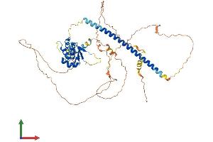 Protein Structure (PS) image for Heat shock factor protein 2 (HSF2) (AA 1-536) protein (His tag) (ABIN7548315)