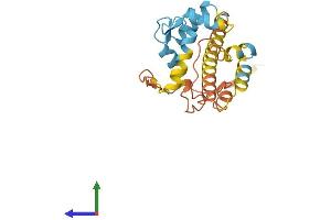 Protein Structure (PS) image for Calcium Binding Protein 7 (CABP7) (AA 1-215) protein (His tag) (ABIN7552792)