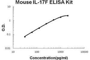 Mouse IL-17F PicoKine ELISA Kit standard curve (IL17F ELISA 试剂盒)