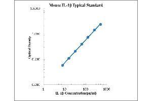 ELISA image for Interleukin 1, beta (IL1B) ELISA Kit (ABIN2472097)