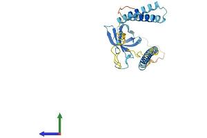Protein Structure (PS) image for Survival Motor Neuron Domain Containing 1 (SMNDC1) (AA 1-238) protein (His tag) (ABIN7546307)