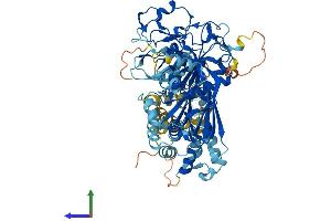 Protein Structure (PS) image for Diacylglycerol Kinase, alpha 80kDa (DGKA) (AA 1-730) protein (His tag) (ABIN7562647)