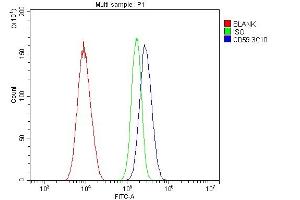 Flow Cytometry analysis of A549 cells using anti- CD59 antibody (ABIN7600941). (CD59 抗体  (AA 26-102))