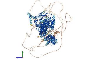 AlphaFold protein structure predicition of Human Recombinant KDM6A Protein, UniprotID O15550