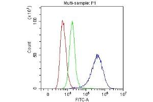 Flow Cytometry analysis of SiHa cells using anti-Mesothelin antibody (ABIN3043459). (Mesothelin 抗体  (AA 306-576))