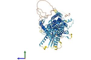 Protein Structure (PS) image for Anoctamin 7 (ANO7) (AA 1-933) protein (His tag) (ABIN7552282)
