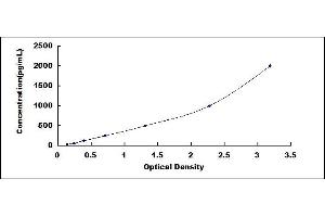 Typical standard curve (IL11RA ELISA 试剂盒)