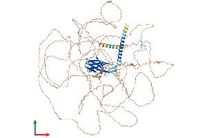 Protein Structure (PS) image for Protein Phosphatase 1, Regulatory Subunit 3A (PPP1R3A) (AA 1-1122) protein (His tag) (ABIN7555077)