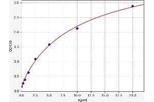 Dickkopf Homolog 1 (DKK1) ELISA Kit