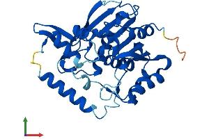 AlphaFold protein structure predicition of Mouse Recombinant Serhl Protein, UniprotID Q9EPB5