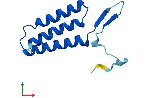 AlphaFold protein structure predicition of Human Recombinant LYRM7 Protein, UniprotID Q5U5X0