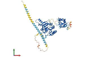 Protein Structure (PS) image for Mannosyl (Alpha-1,3-)-Glycoprotein beta-1,4-N-Acetylglucosaminyltransferase, Isozyme B (MGAT4B) (AA 1-548) protein (His tag) (ABIN7564323)