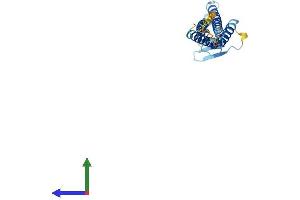 Protein Structure (PS) image for Claudin 19 (CLDN19) (AA 1-224) protein (His tag) (ABIN7546531)