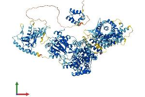 AlphaFold protein structure predicition of Mouse Recombinant Samd9l Protein, UniprotID Q69Z37