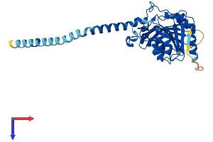 Abhydrolase Domain Containing 13 (ABHD13) (AA 1-337) protein (His tag)
