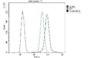 Flow Cytometry analysis of SiHa cells using anti-CTBP2 antibody (ABIN3042768). (CTBP2 抗体  (AA 321-445))