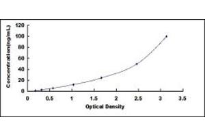 Typical standard curve (Hephaestin ELISA 试剂盒)