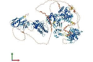 Protein Structure (PS) image for ArfGAP with RhoGAP Domain, Ankyrin Repeat and PH Domain 1 (ARAP1) (AA 1-1450) protein (His tag) (ABIN7552232)