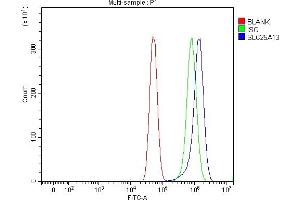 Flow Cytometry analysis of U87 cells using anti-Citrin/SLC25A13 antibody (ABIN7599512). (slc25a13 抗体  (AA 1-643))