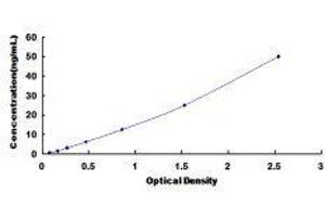 WW Domain Containing E3 Ubiquitin Protein Ligase 2 (WWP2) ELISA Kit