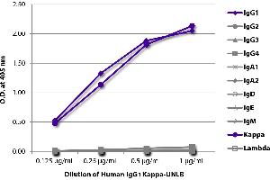 ELISA plate was coated with serially diluted Human IgG1 Kappa-UNLB and quantified.