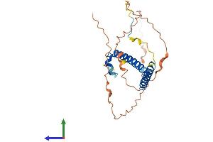 Protein Structure (PS) image for SWI5 Recombination Repair Homolog (SWI5) (AA 1-235) protein (His tag) (ABIN7546430)