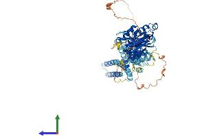 Protein Structure (PS) image for Kinesin Heavy Chain Member 2A (KIF2A) (AA 1-705) protein (His tag) (ABIN7563065)
