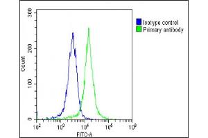 Overlay histogram showing K562 cells stained with (ABIN6243308 and ABIN6578864)(green line). (CCL26 抗体  (AA 58-92))
