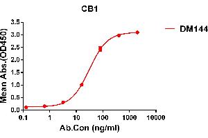 ELISA plate pre-coated by 1 μg/mL (100 μL/well) Human CB1 protein, hFc tagged protein ((ABIN6964092, ABIN7042439 and ABIN7042440)) can bind Rabbit anti-CB1 monoclonal antibody(clone: DM144) in a linear range of 5-200 ng/mL. (CNR1 抗体  (AA 1-116))