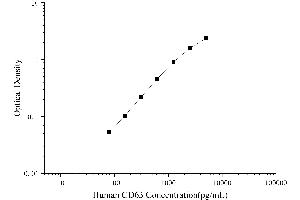 CD63 (CD63) ELISA Kit