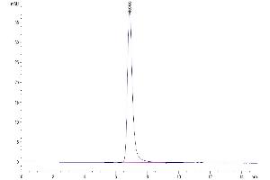 The purity of Human EphB4 is greater than 95 % as determined by SEC-HPLC. (EPH Receptor B4 Protein (EPHB4) (AA 16-539) (His tag))