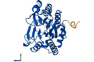 Protein Structure (PS) image for Calcineurin-Like phosphoesterase Domain Containing 1 (Cpped1) (AA 1-314) protein (His tag) (ABIN7546832)