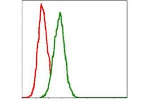 Flow cytometric analysis of Hela cells using GSTM1 mouse mAb (green) and negative control (red). (GSTM1 抗体)