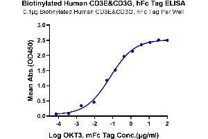 Immobilized Biotinylated Human CD3E&CD3G, hFc Tag at 1 μg/mL (100 μL/Well) on streptavidin (5 μg/mL) precoated plate.