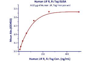 Immobilized Human LIF, Tag Free  with a linear range of 7. (LIFR Protein (AA 45-833) (Fc Tag))