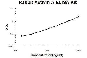 Rabbit Activin A PicoKine ELISA Kit standard curve (INHBA ELISA 试剂盒)