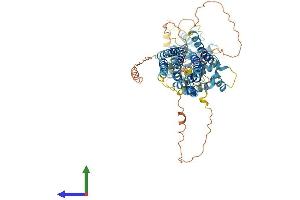 Protein Structure (PS) image for Solute Carrier Family 39 (Zinc Transporter), Member 12 (SLC39A12) (AA 1-689) protein (His tag) (ABIN7557453)