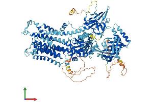 Protein Structure (PS) image for ATPase, Class VI, Type 11B (ATP11B) (AA 1-1177) protein (His tag) (ABIN7552478)