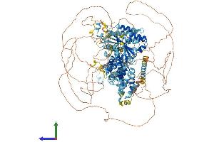Protein Structure (PS) image for ATPase Family, AAA Domain Containing 2 (ATAD2) (AA 1-1390) protein (His tag) (ABIN7552534)