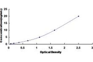 Typical standard curve (CAMK2B ELISA 试剂盒)