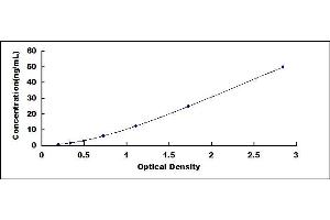 Typical standard curve (ITGB1 ELISA 试剂盒)