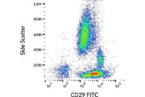 Flow cytometry analysis (surface staining) of human peripheral blood with anti-human CD29 (MEM-101A) purified, GAM-APC. (ITGB1 抗体  (FITC))