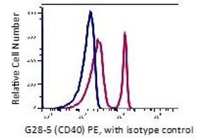 Flow Cytometry (FACS) image for anti-CD40 (CD40) antibody (PE) (ABIN6253104) (CD40 抗体  (PE))